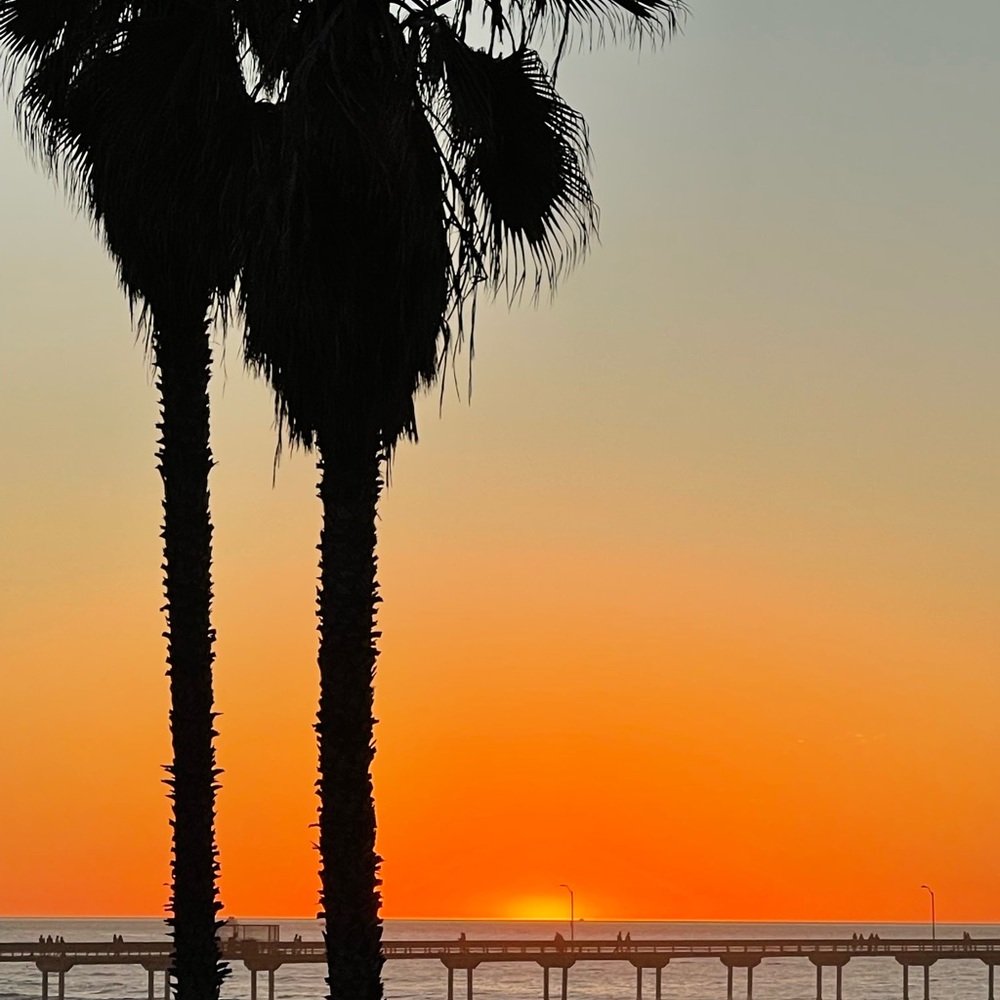 Meet your Posher, Michele